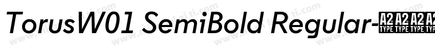 TorusW01 SemiBold Regular字体转换
